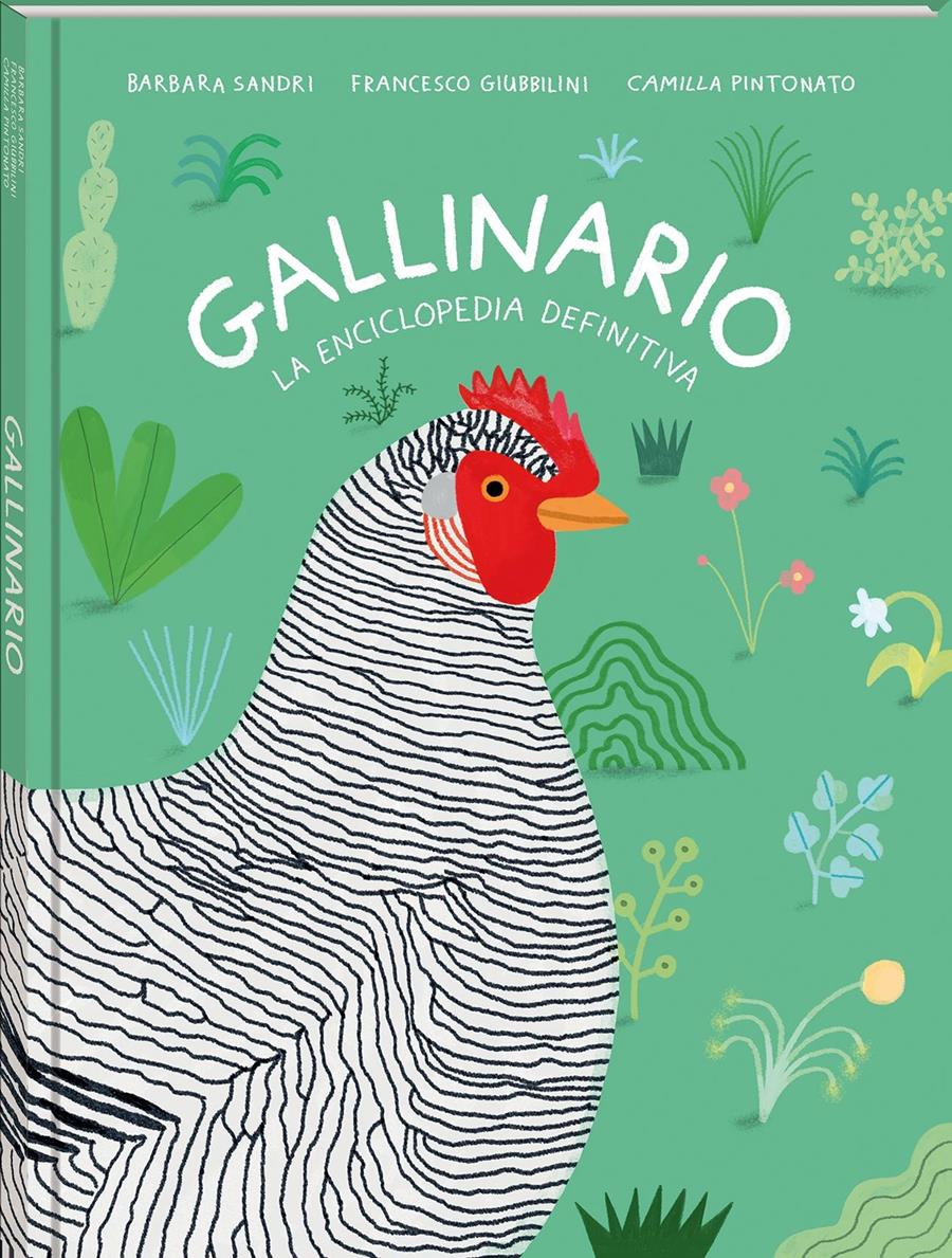 Gallinario | 9788418762093  | Barbara Sandri, Francesco Giubbilini y Camilla Pintonato | Álbumes ilustrados, libros informativos y objetos literarios.