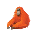 Orangután de Oliver Jeffers | Orangutan_OliverJeffers | Oliver Jeffers | àlbums il·lustrats, llibres informatius i objetes literaris