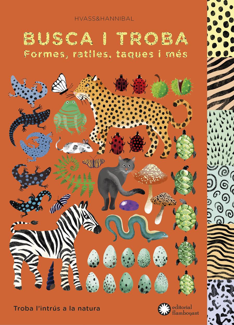 Busca i troba formes, ratlles, taques i més