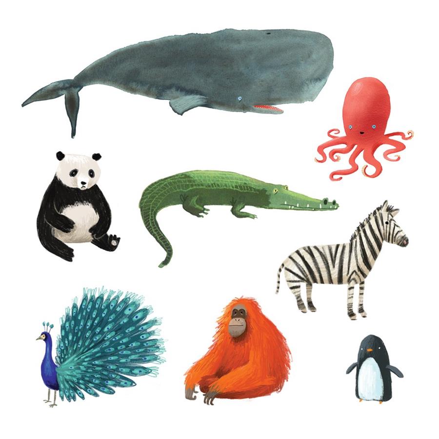 Set Wildlife de Oliver Jeffers | Wildlife_set_OliverJeffers | Oliver Jeffers | àlbums il·lustrats, llibres informatius i objetes literaris