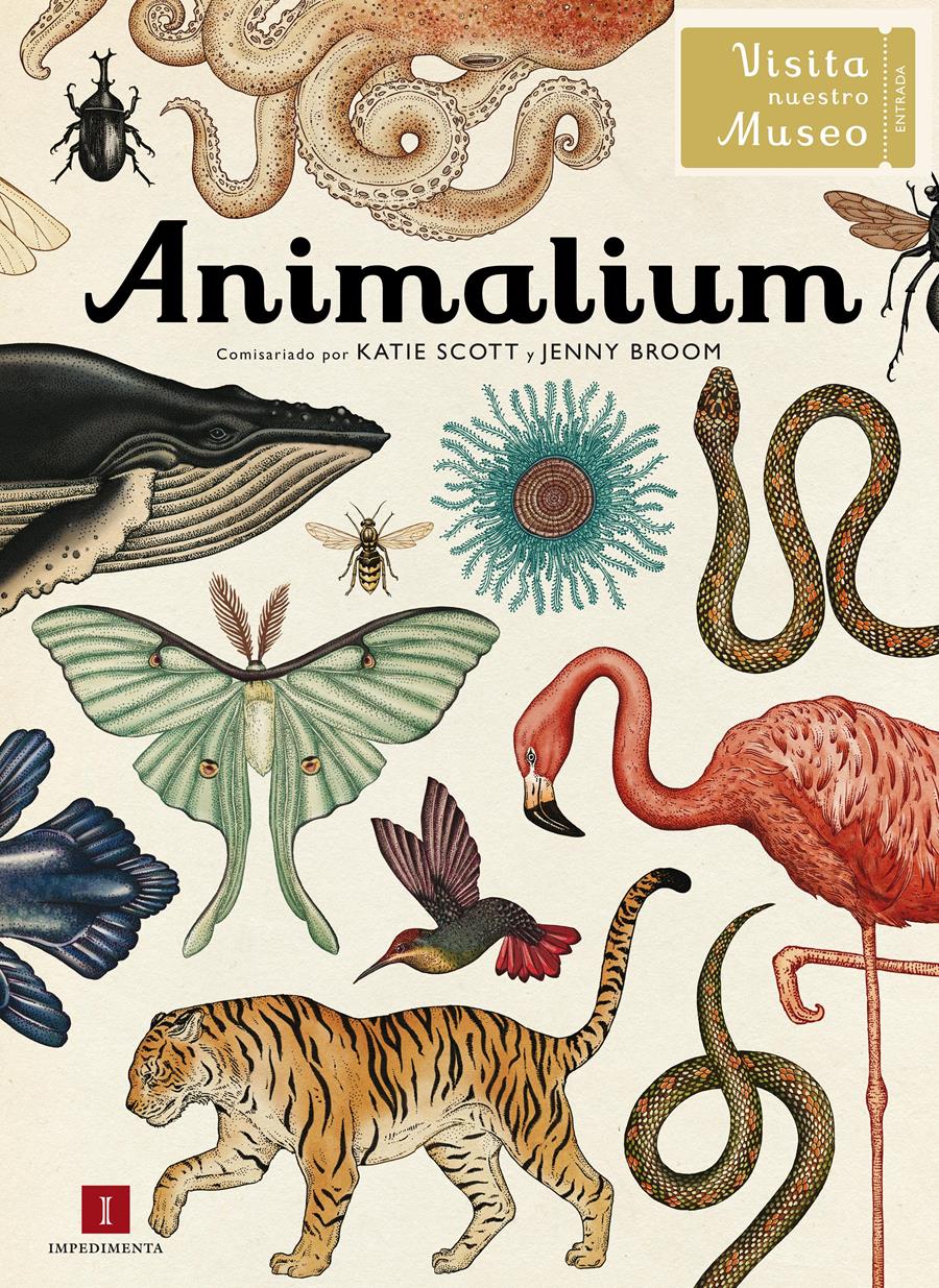 Animalium (castellano) | 978-84-15979-46-3 | Katie Scot | Álbumes ilustrados, libros informativos y objetos literarios.