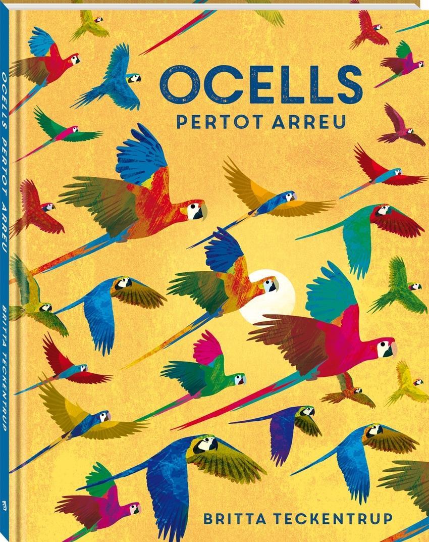 Ocells pertot arreu | 9788418762468 | Teckentrup, Britta | Álbumes ilustrados, libros informativos y objetos literarios.