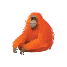 Orangután de Oliver Jeffers | Orangutan_OliverJeffers | Oliver Jeffers | Álbumes ilustrados, libros informativos y objetos literarios.